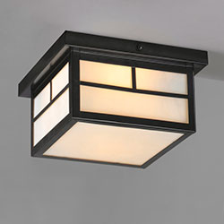 Coldwater 2-Light Outdoor Ceiling Mount