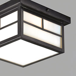 Coldwater 2-Light Outdoor Ceiling Mount