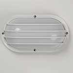 Bulwark 1-Light LED Outdoor Wall Sconce