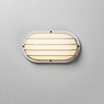 Bulwark 1-Light LED Outdoor Wall Sconce