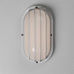 Bulwark 1-Light LED Outdoor Wall Sconce