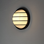 Bulwark 1-Light LED Outdoor Wall Sconce