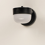 Michelle LED Outdoor Wall Sconce