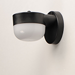 Michelle LED Outdoor Wall Sconce
