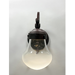 Rustica LED 1-Light Outdoor Wall Lantern
