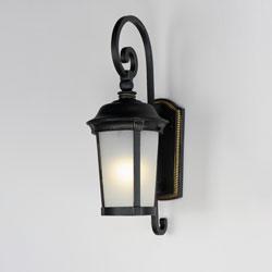 Dover LED 1-Light Outdoor Wall Lantern