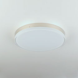 Illuminaire II 11"RD LED Flush Mount 3000K