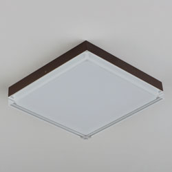 Illuminaire II 8.5"SQ LED Flush Mount 3000K