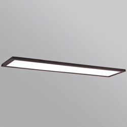 Sky 12"x48" LED Flush Mount 3000K