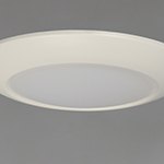 Diverse 9" LED Flush Mount 2700K