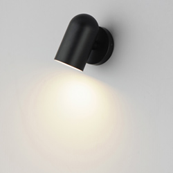 SpotLight Outdoor LED Sconce