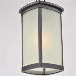 Terrace LED 1-Light Outdoor Hanging Lantern