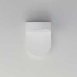 Ledge LED Outdoor Wall Sconce