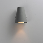 Mini 1-Light LED Outdoor Wall Sconce