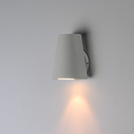 Mini 1-Light LED Outdoor Wall Sconce