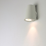 Mini 1-Light LED Outdoor Wall Sconce