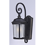 Dover EE 1-Light Outdoor Wall Lantern