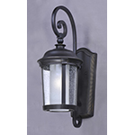 Dover EE 1-Light Outdoor Wall Lantern