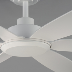 Albatross 72" 6-Blade Marine Grade Fan
