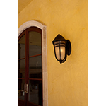 Westport VX 1-Light Outdoor Wall Lantern