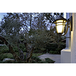 Westport VX 1-Light Outdoor Wall Lantern