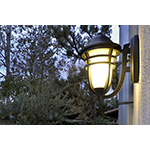 Westport VX 1-Light Outdoor Wall Lantern