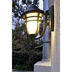 Westport VX 1-Light Outdoor Wall Lantern