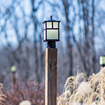 Coldwater 1-LT Outdoor Pole/Post Lantern