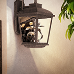 Arbor LED 1-Light Outdoor Wall Lantern