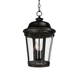 Republic 16.75-Inch 12V Outdoor Hanging Lantern in Black at Destination  Lighting